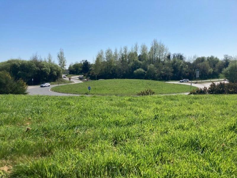 Local d'activité / Entrepôt - 1 446 m²