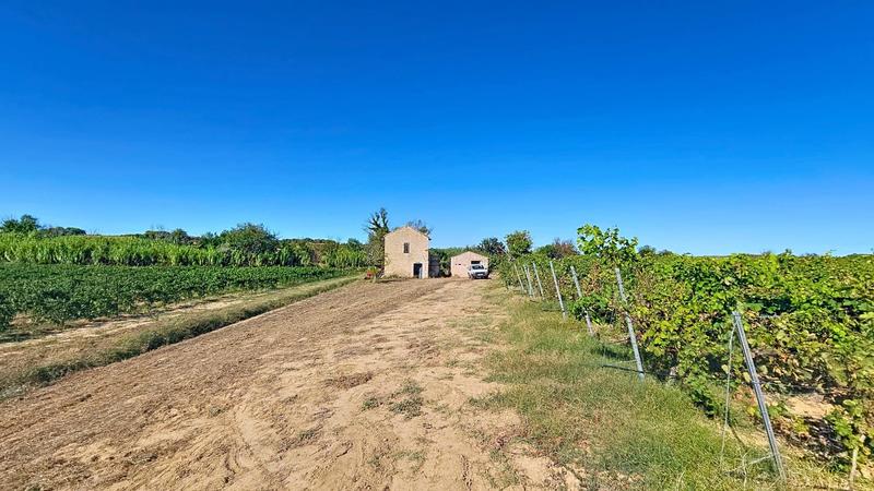 Terrain agricole - 100 000 m²