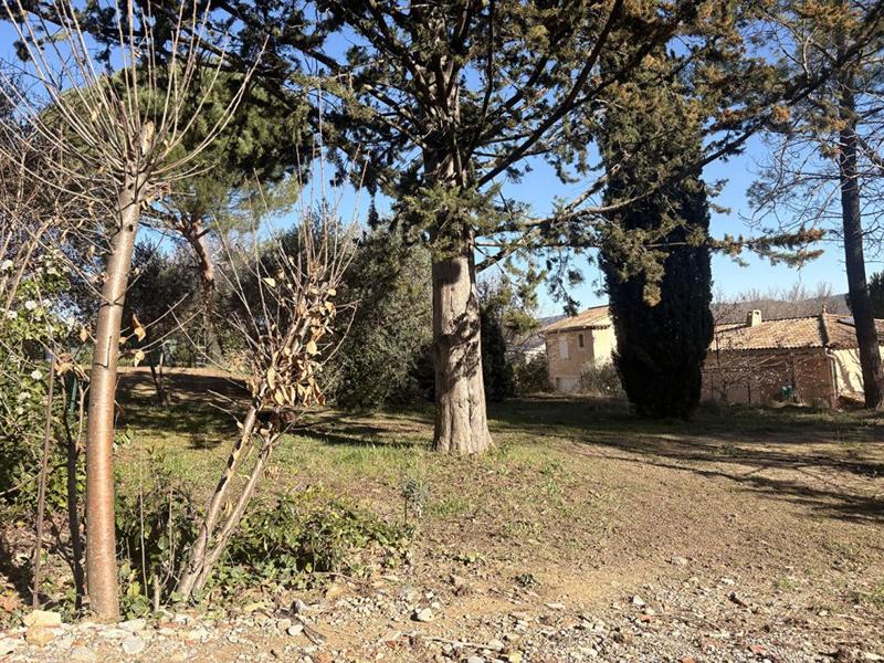 Terrain constructible - 1 013 m²