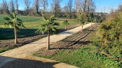 Maison - 457 m² - 11 pièces