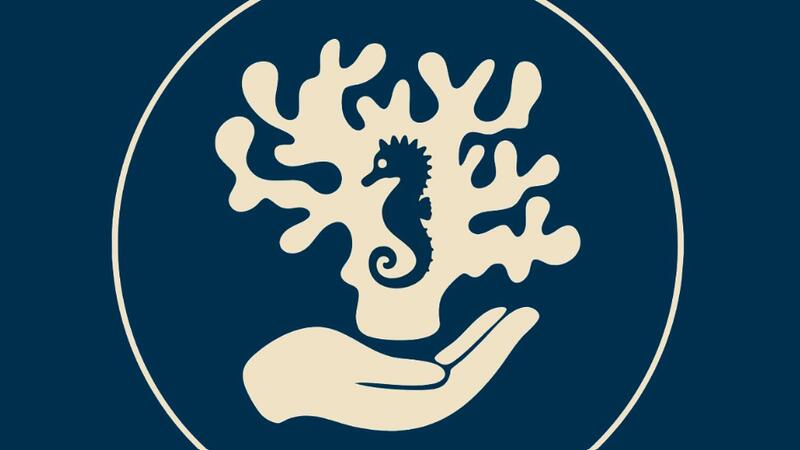 Atelier Crée ta Tortue à l'Aquarium Refuge