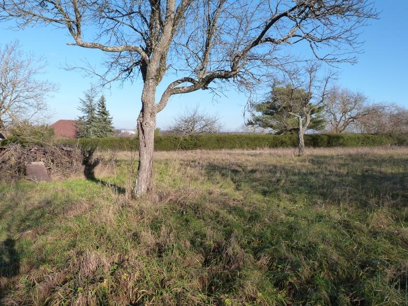 Terrain constructible - 855 m²