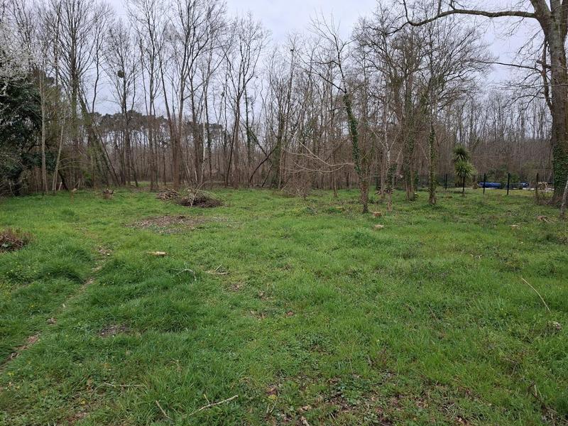 Terrain constructible - 1 500 m²