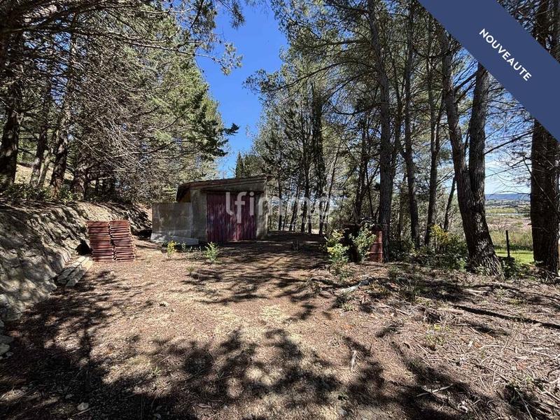 Terrain - 13 051 m²