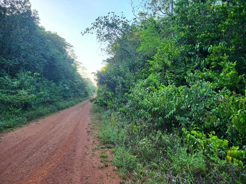 Terrain agricole - 6 490 m²