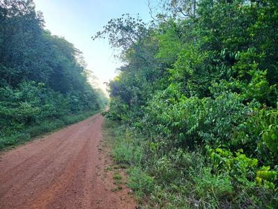 Terrain agricole - 6 490 m²