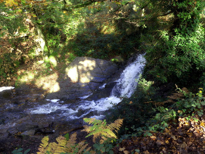 Flânerie Contée en Brocéliande.