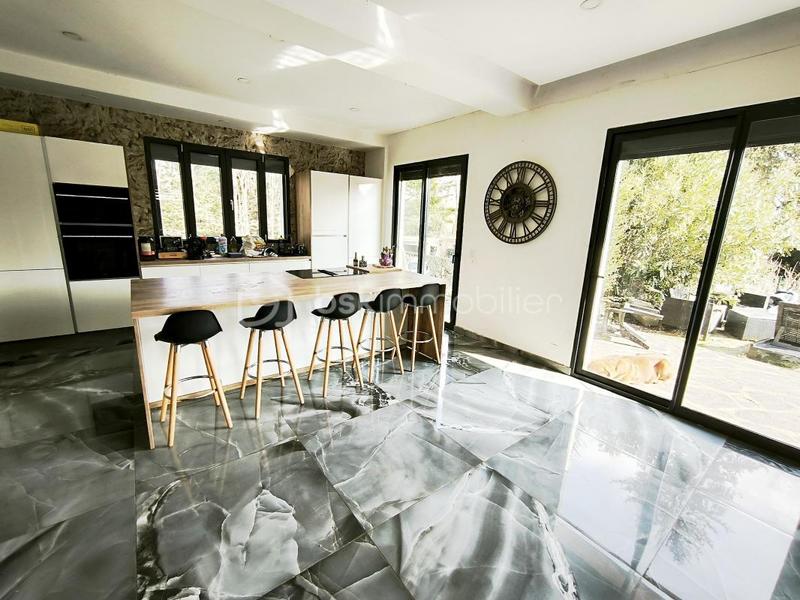 Maison - 270 m² - 8 pièces