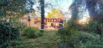 Maison ancienne - 56 m² - 2 pièces