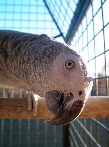Jardin aux Plantes Parfumées