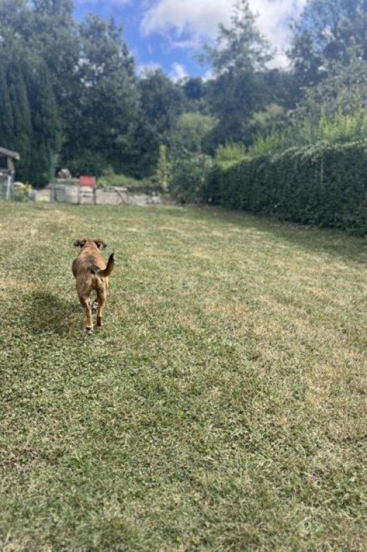 Maison - 128 m² - 4 pièces