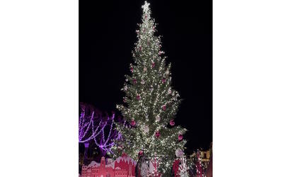 Le sapin féerique :“Un Noël gourmand et multicolore”