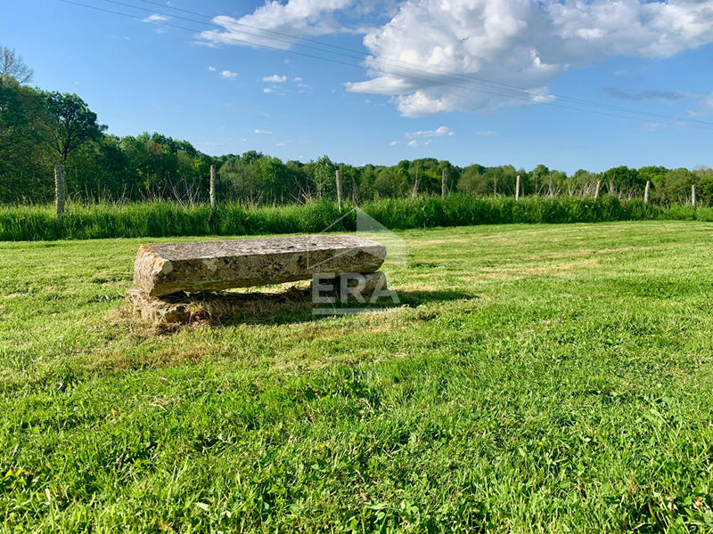 Maison - 284 m² - 10 pièces