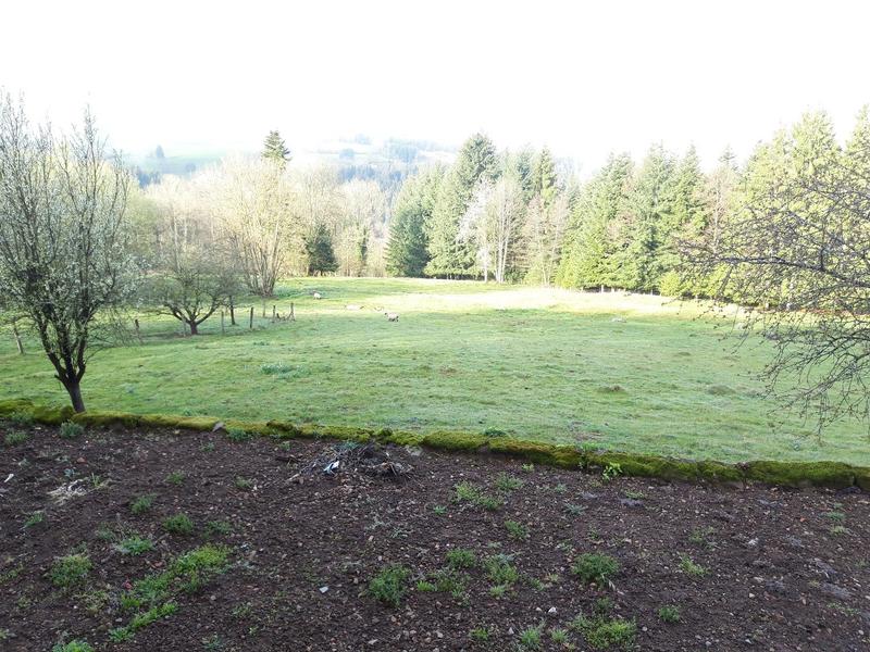 Appartement - 58 m² - 2 pièces