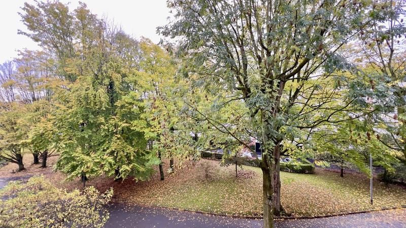 Appartement - 85 m² - 3 pièces