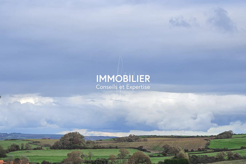 Viager - Maison - 80 m² - 4 pièces