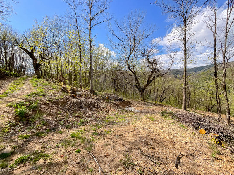 Maison - 366 m² - 23 pièces