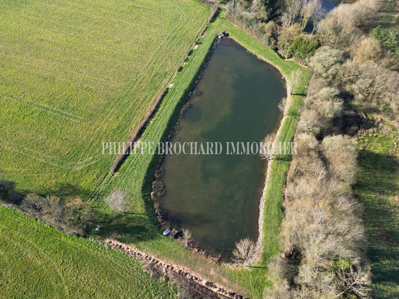 Terrain de loisirs - 6 000 m²