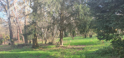 Maison - 148 m² - 2 pièces