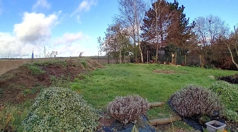 Villa - 235 m² - 7 pièces