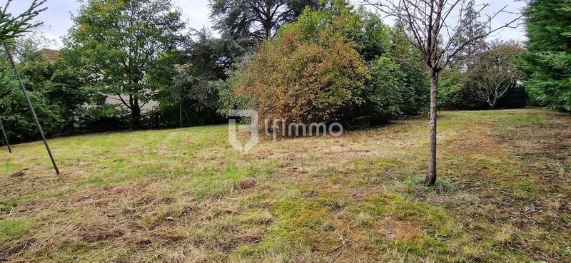 Terrain constructible - 1 032 m²