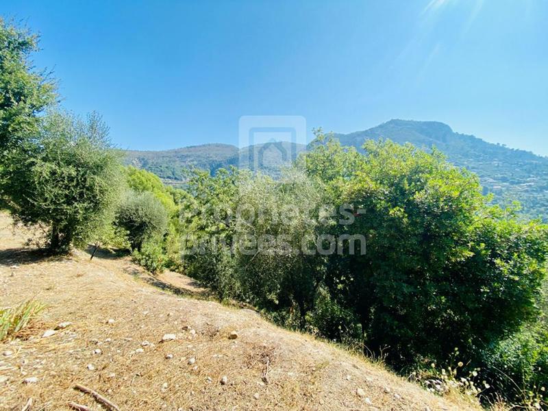 Terrain constructible - 1 400 m²