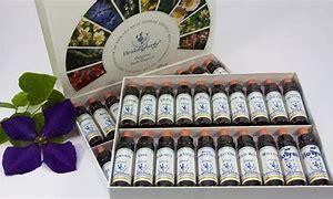 Initiation fleurs de Bach