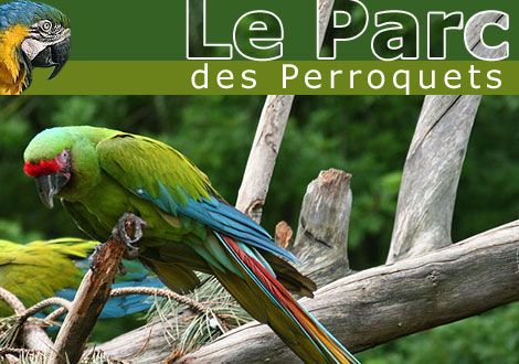 Le Parc des Perroquets