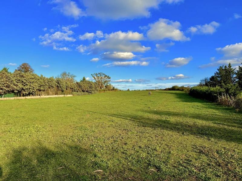 Villa - 168 m² - 7 pièces