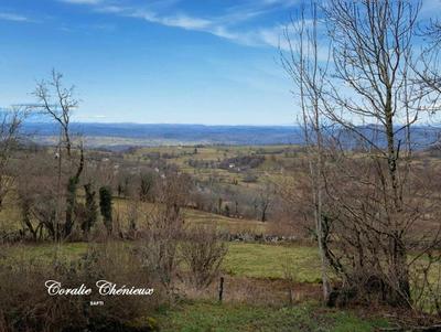 Maison - 65 m² - 3 pièces