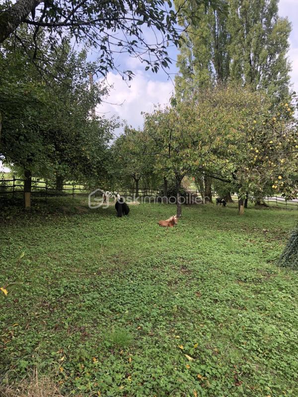 Grange - 280 m² - 1 pièce