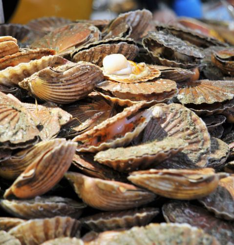 Poissonnerie de l'ile de Ré, Limoges