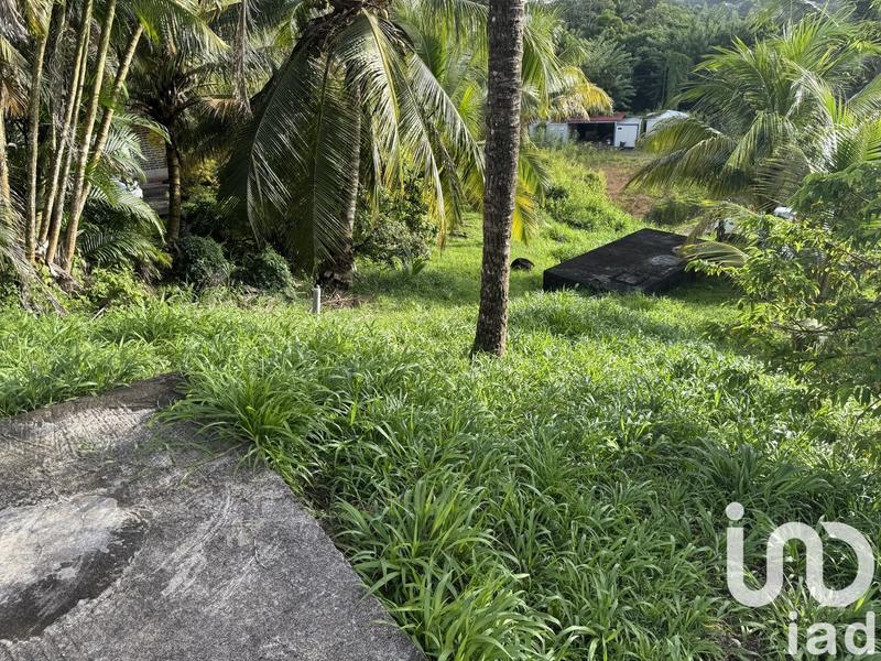 Maison - 442 m² - 12 pièces