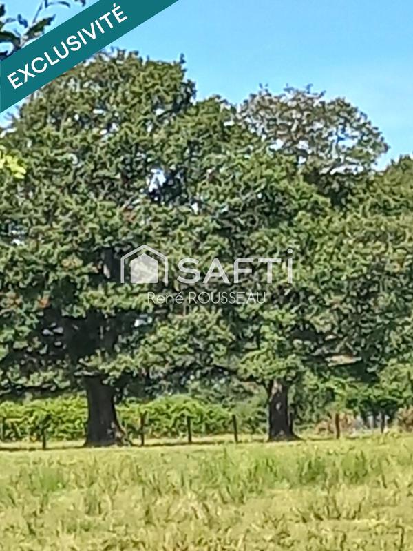 Maison - 95 000 m² - 6 pièces