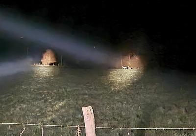 La nuit de la faune sauvage