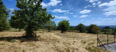 Terrain constructible - 2 279 m²