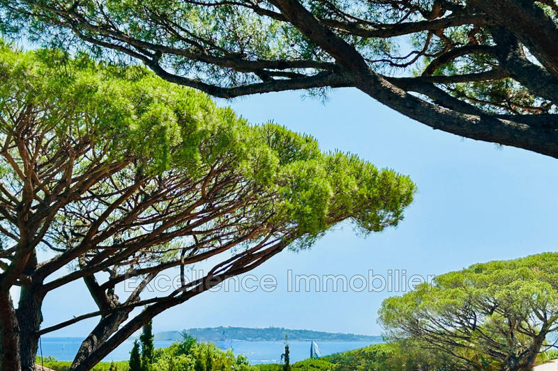 Villa - 215 m² - 10 pièces