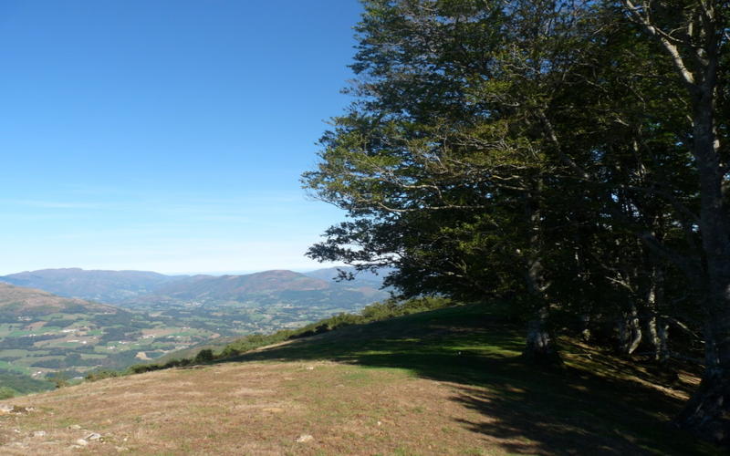 Randonnée accompagnée Mendi Gaiak : Rando gourmande à Orisson