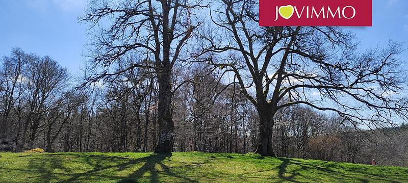 Maison - 234 m² - 8 pièces