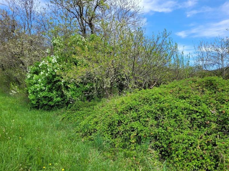 Maison - 89 m² - 3 pièces