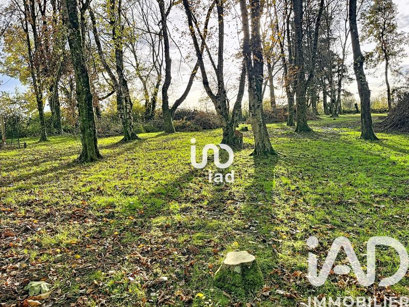 Maison - 103 m² - 5 pièces