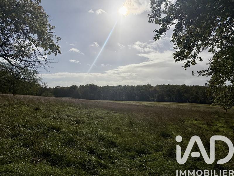 Terrain - 12 710 m²