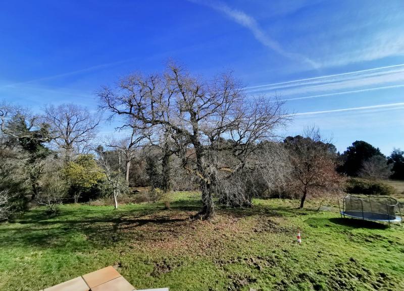 Maison - 325 m² - 10 pièces