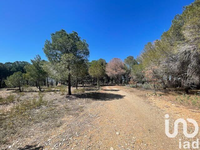 Terrain - 13 930 m²