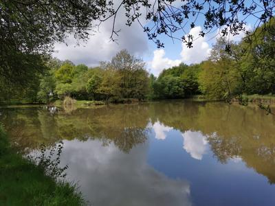 Terrain - 17 700 m²