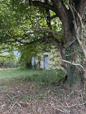 Maison ancienne - 80 m² - 4 pièces