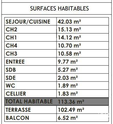 Appartement - 113 m² - 5 pièces