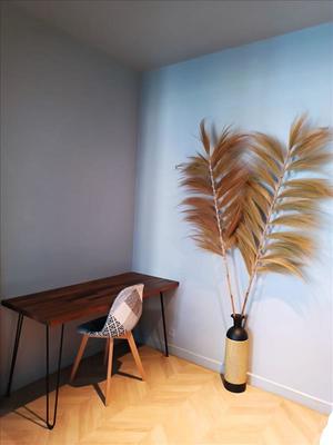 Appartement - 36 m² - 1 pièce