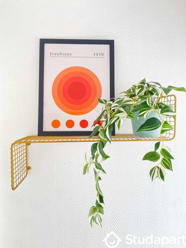 Appartement - 64 m² - 1 pièce