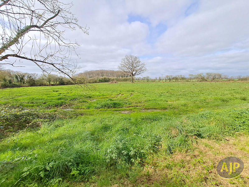 Maison - 174 m² - 6 pièces